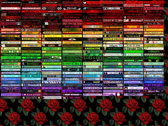 Blinkcollection screenshot