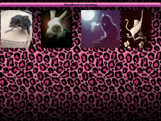 moodboard screenshot