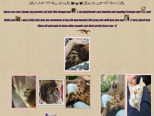 kittypics screenshot