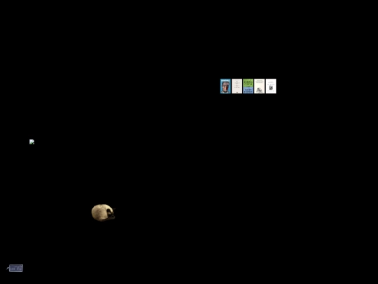 bookshelf screenshot