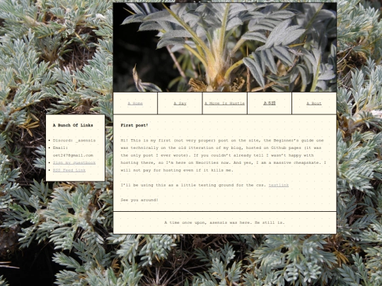 posts/first-post-test screenshot