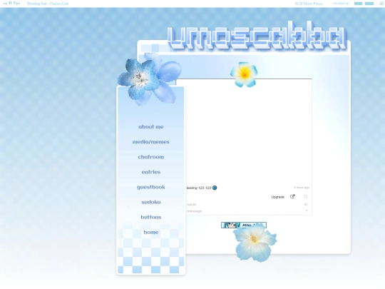 chatroom screenshot