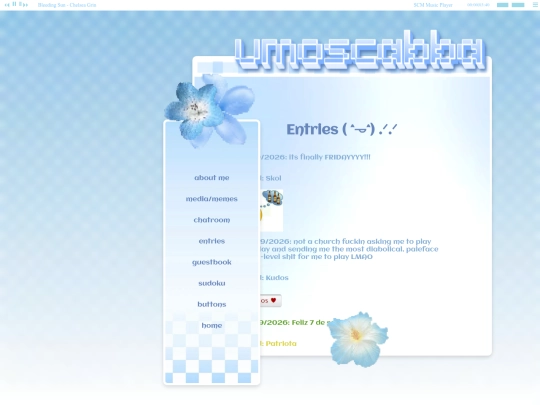 entries screenshot