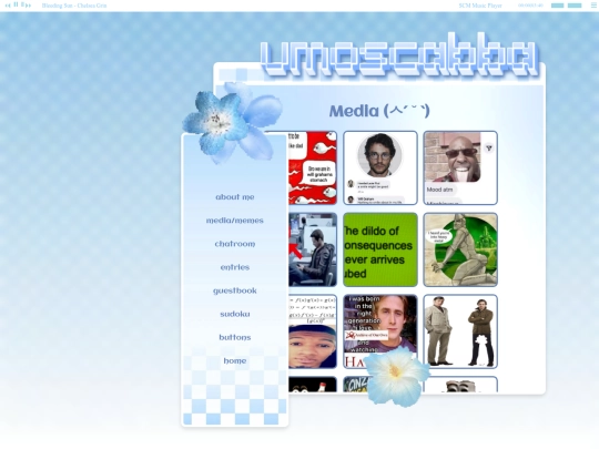 media screenshot
