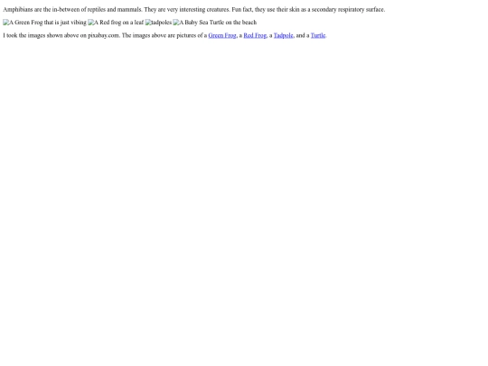 04 screenshot