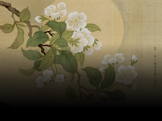 sutra/Heartsutra screenshot