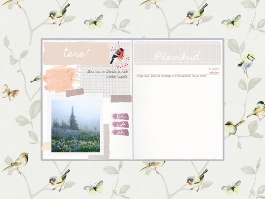 about/paevik screenshot
