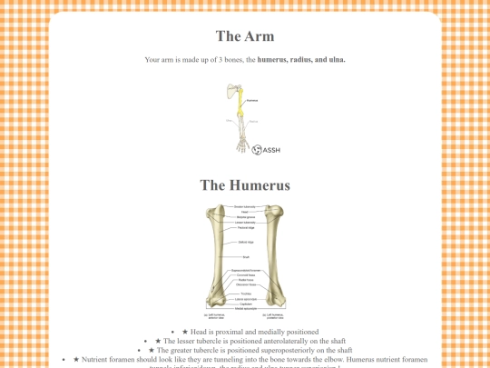 osteo sections/arm screenshot