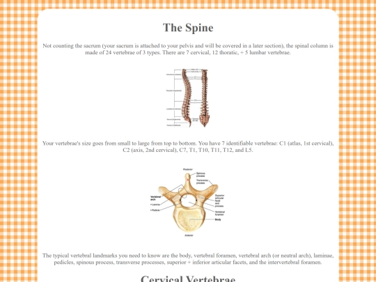 osteo sections/spine screenshot