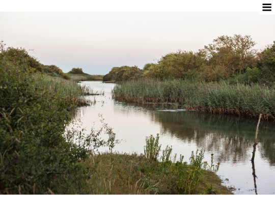 pagham screenshot