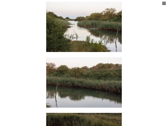 pagham2 screenshot