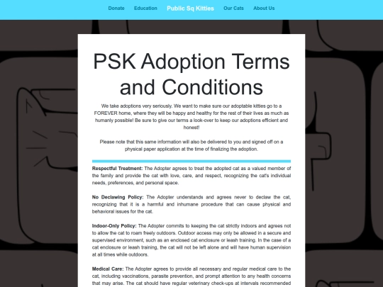 termsandconditions screenshot