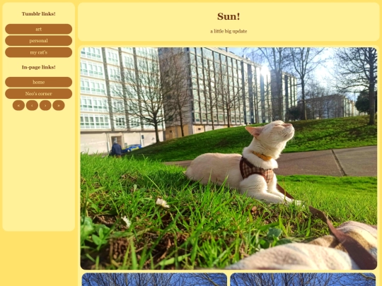Neo/6 screenshot