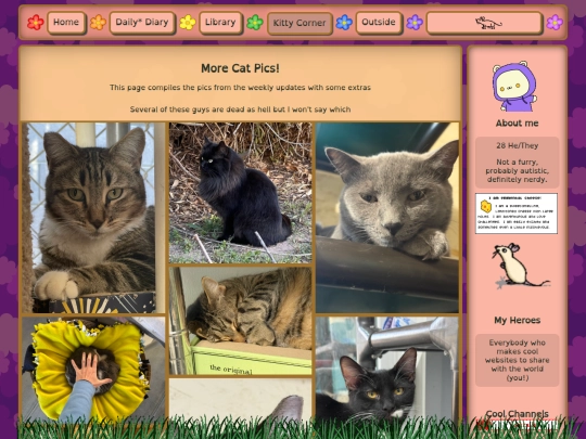 cat-pics screenshot