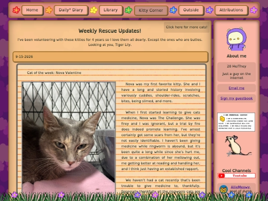 kitty-updates screenshot