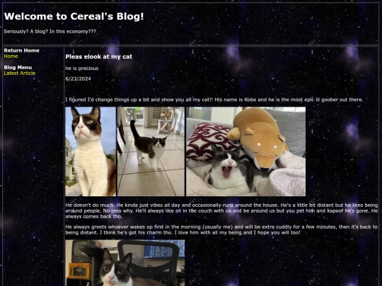 subpages/blog/articles/2024/2024-6-23 screenshot