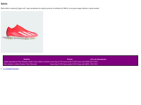 Web.html/index2 screenshot