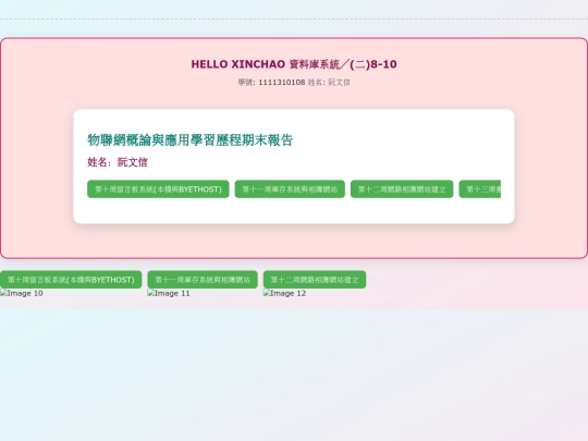 20250304_W10_database.files/iindexx screenshot