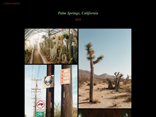 main/film/2025-palm-springs screenshot