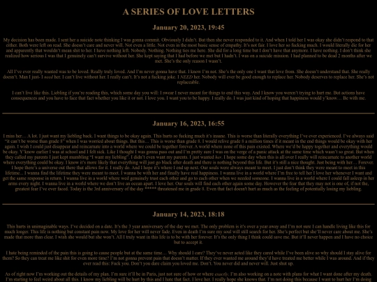 journal screenshot