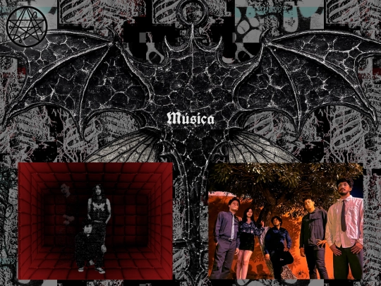 musica screenshot