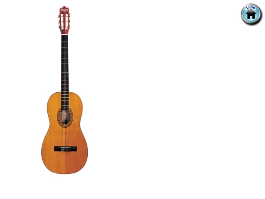 paginas/Guitarra screenshot