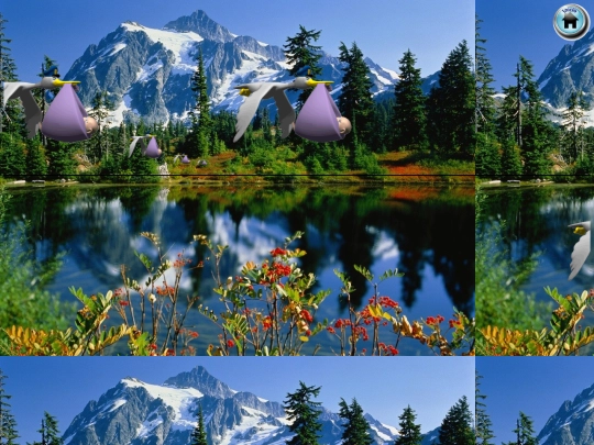 paginas/imagenes screenshot