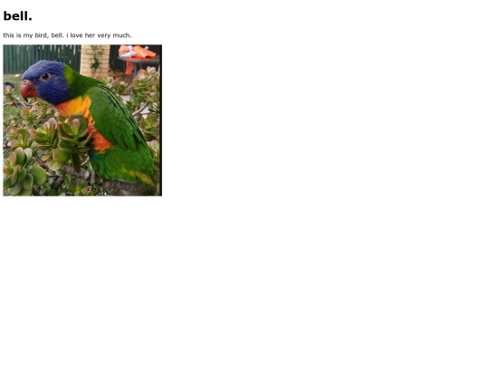 bell screenshot