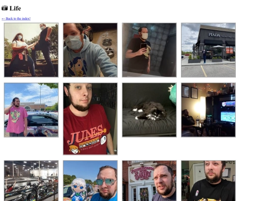gallery/Life screenshot