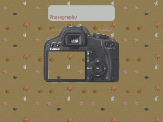 photography screenshot