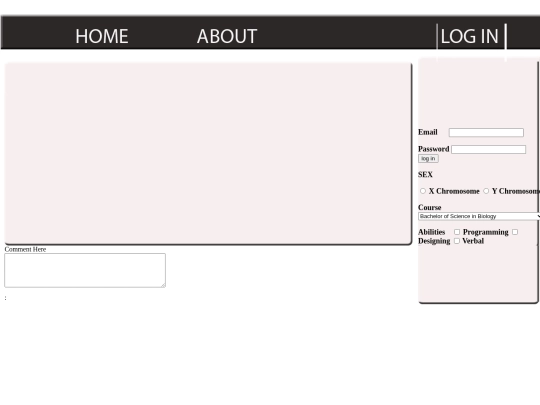 web screenshot
