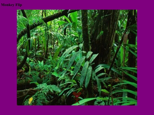 monkeyflip screenshot