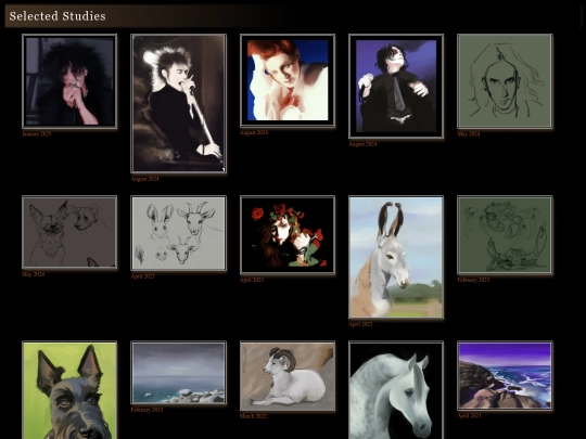 studies screenshot