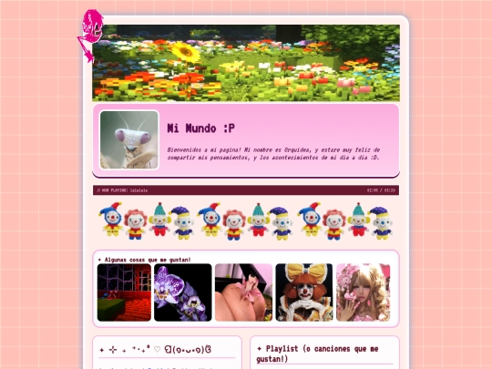 MiMundo screenshot