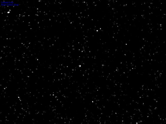 home screenshot