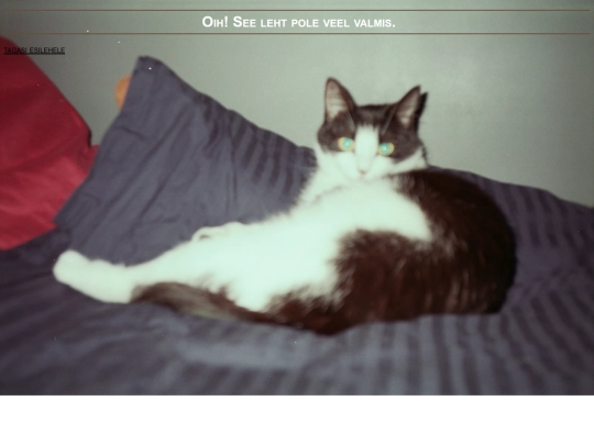 pole_valmis screenshot