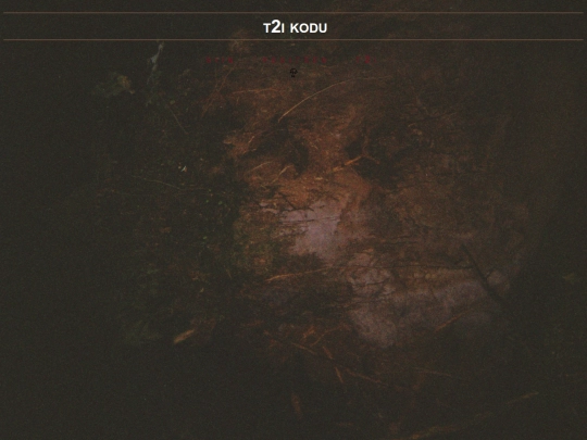 t2i_kodu screenshot