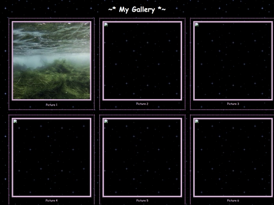 drawingsphotography screenshot