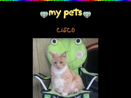 pets screenshot