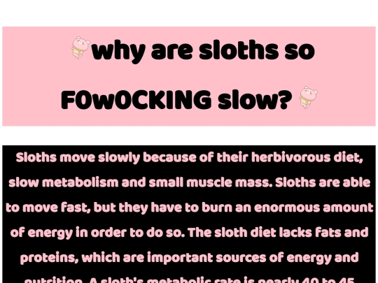 slow screenshot