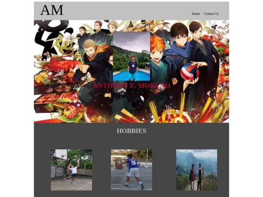 home screenshot