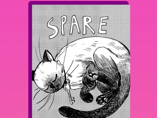 comics/sparekey screenshot