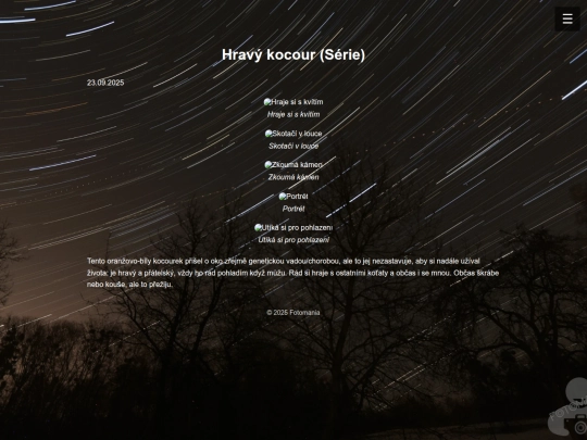 Galerie/kocour screenshot