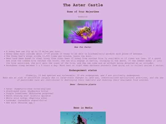 astercastle screenshot