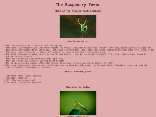 raspberrytower screenshot