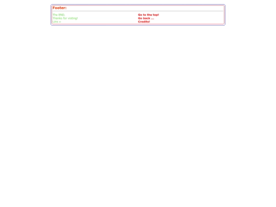 ns/project template/templater-footer screenshot