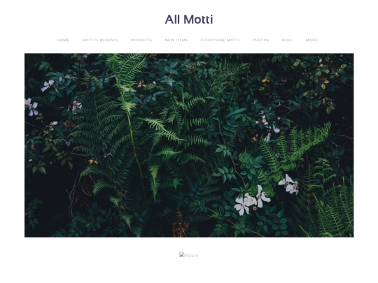 new-motti-experience-pen screenshot