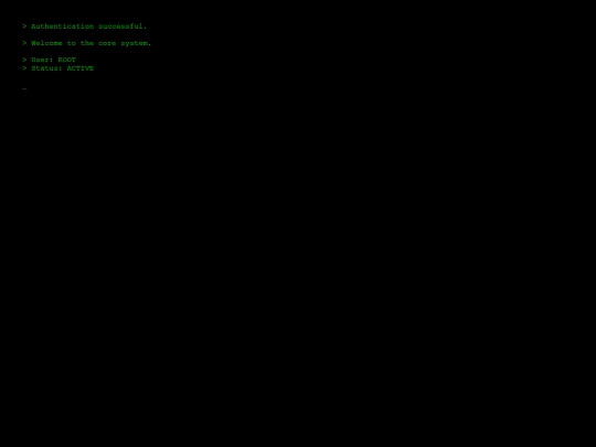 terminal screenshot
