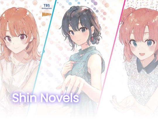 views/shin-novels screenshot