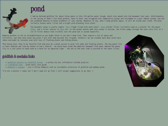 goldfish screenshot